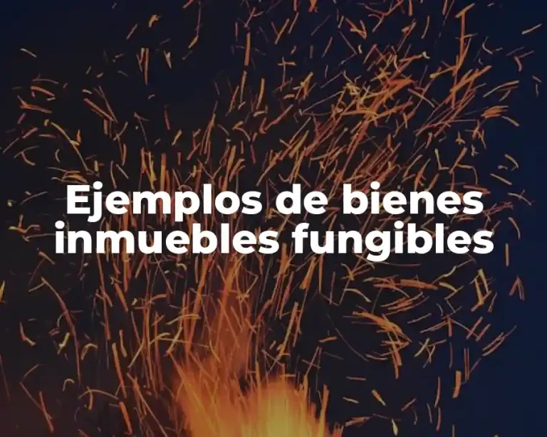 Ejemplos de bienes inmuebles fungibles