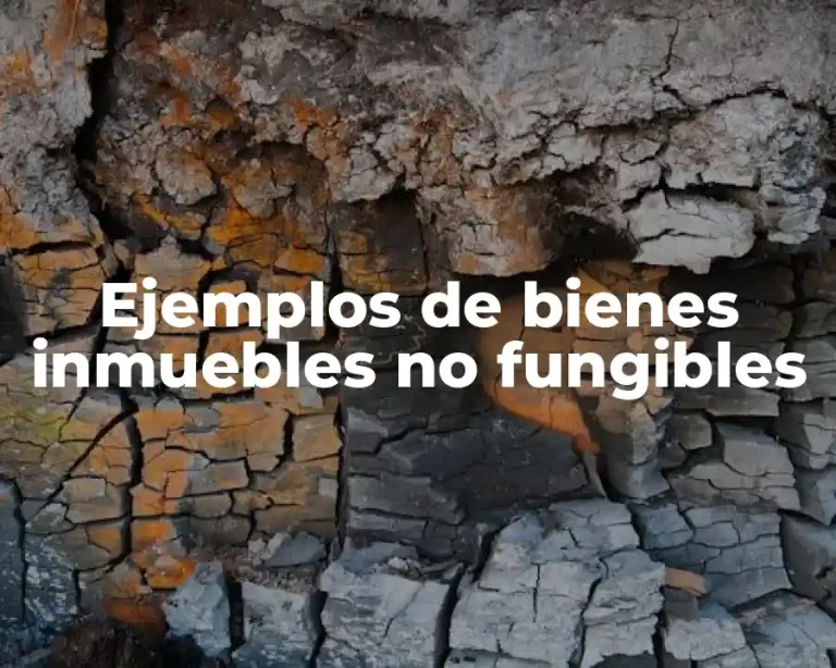 Ejemplos de bienes inmuebles no fungibles