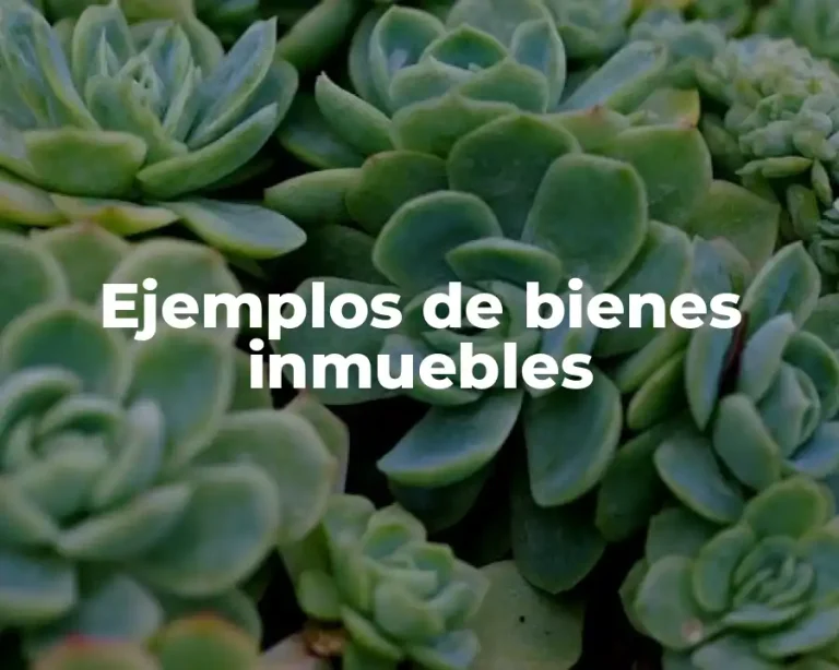 Ejemplos de bienes inmuebles