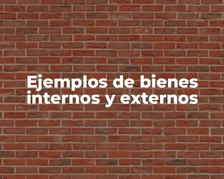 Ejemplos de bienes internos y externos