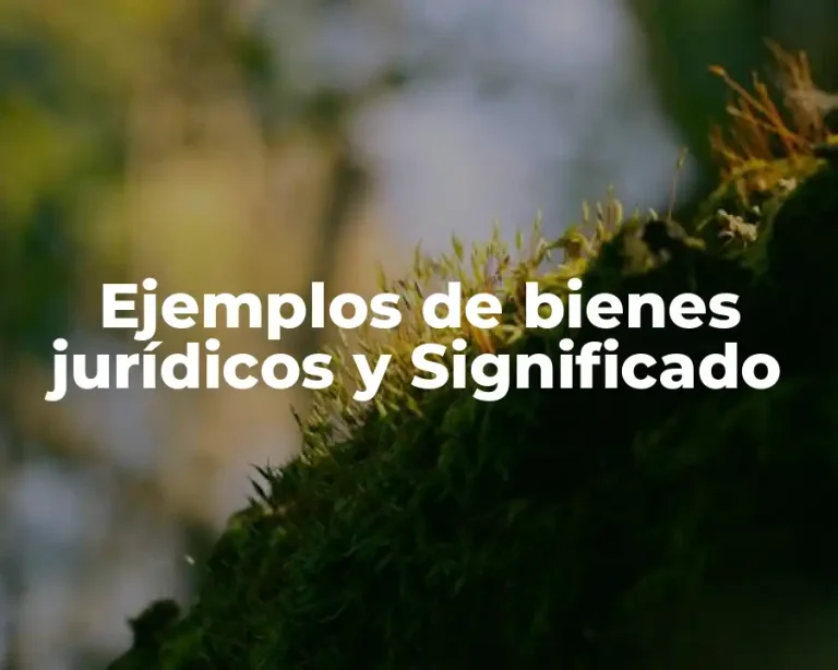 Ejemplos de bienes jurídicos y Significado