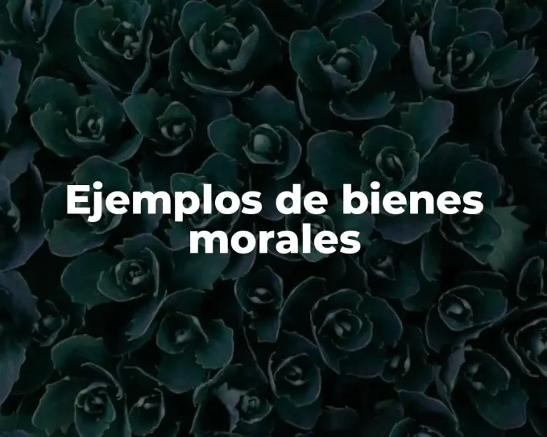 Ejemplos de bienes morales
