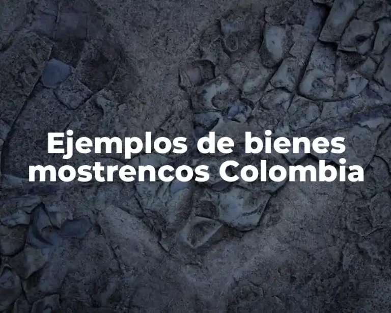 Ejemplos de bienes mostrencos Colombia
