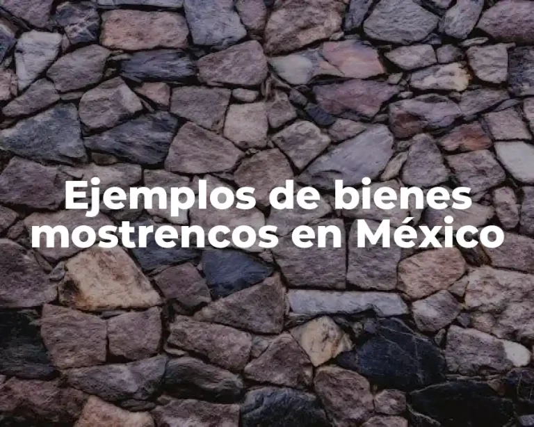 Ejemplos de bienes mostrencos en México