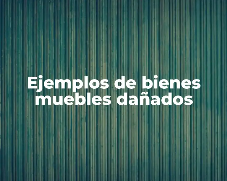 Ejemplos de bienes muebles dañados