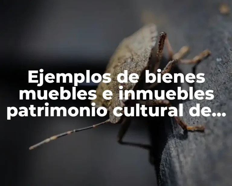 Ejemplos de bienes muebles e inmuebles patrimonio cultural de Ecuador