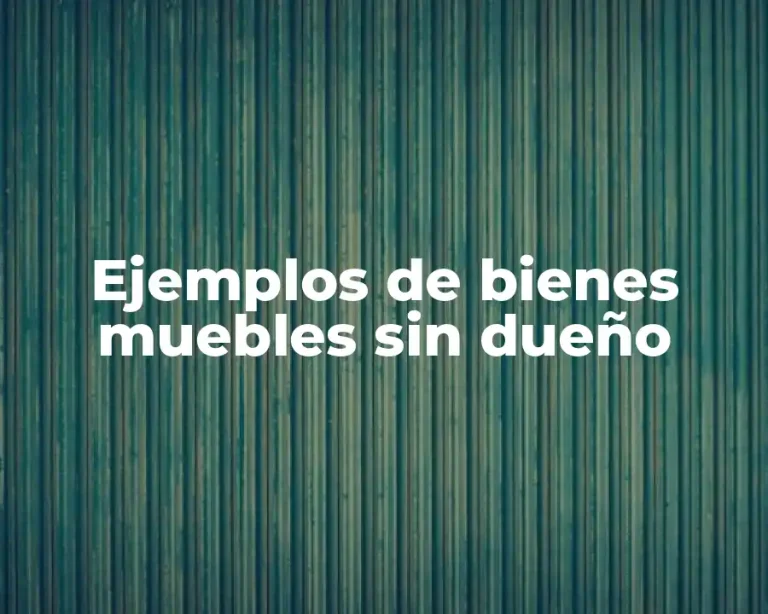 Ejemplos de bienes muebles sin dueño