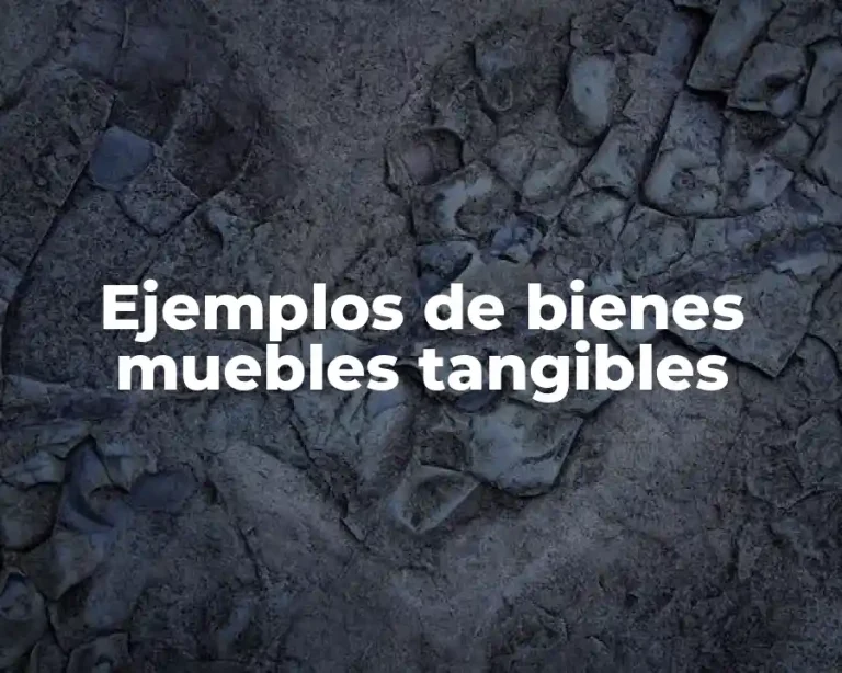 Ejemplos de bienes muebles tangibles