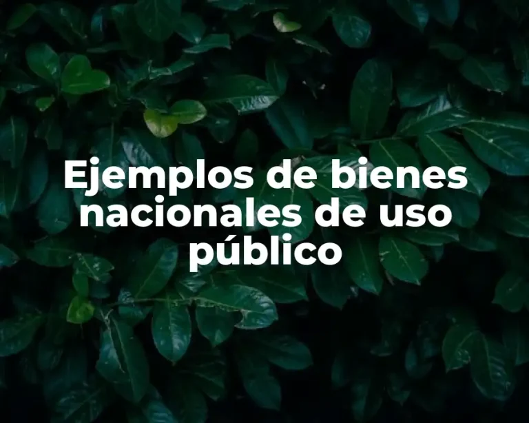 Ejemplos de bienes nacionales de uso público