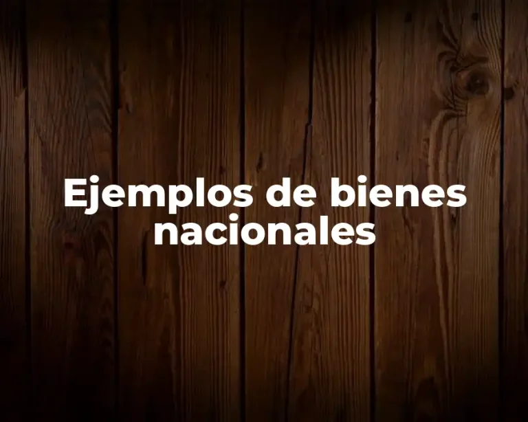 Ejemplos de bienes nacionales
