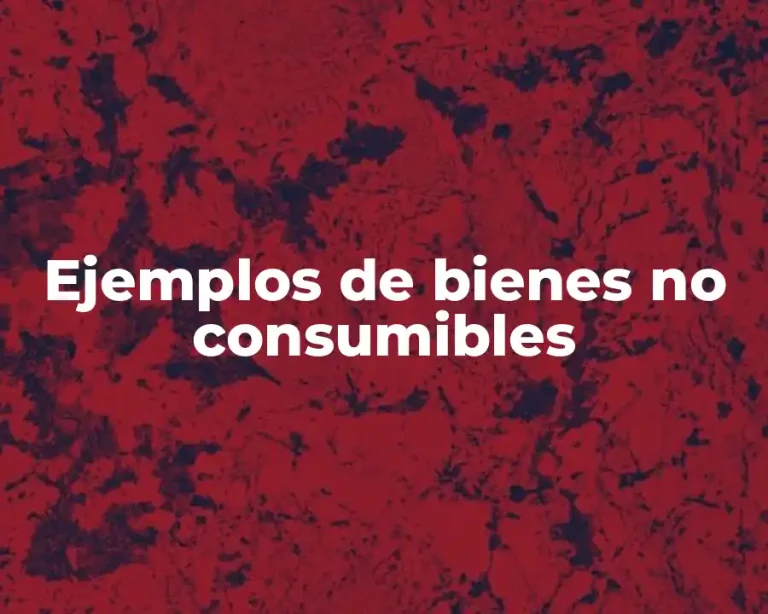 Ejemplos de bienes no consumibles