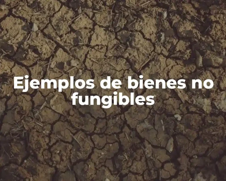 Ejemplos de bienes no fungibles
