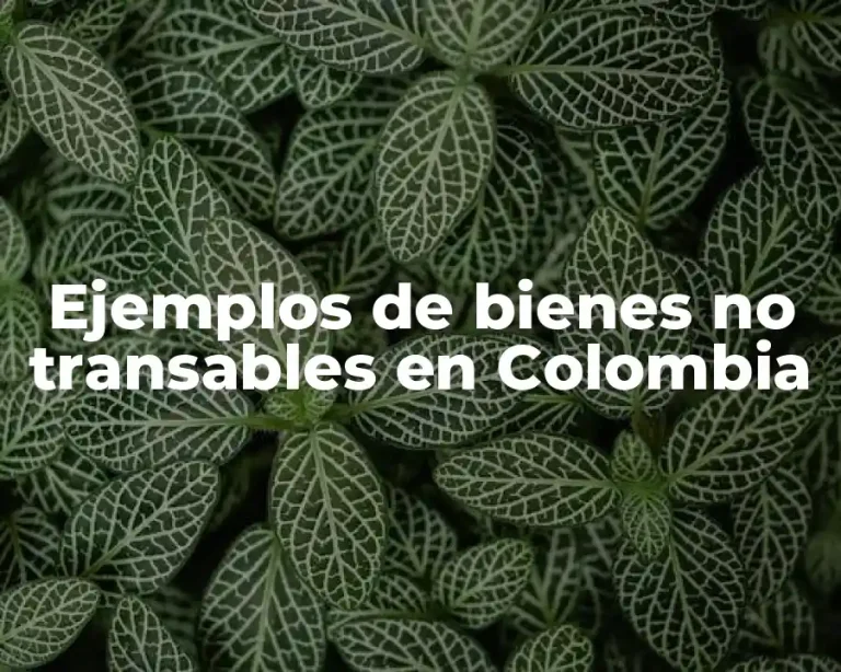 Ejemplos de bienes no transables en Colombia