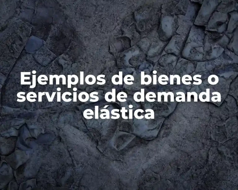 Ejemplos de bienes o servicios de demanda elástica