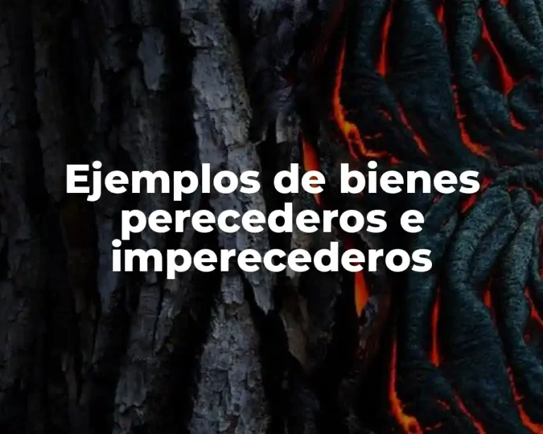 Ejemplos de bienes perecederos e imperecederos