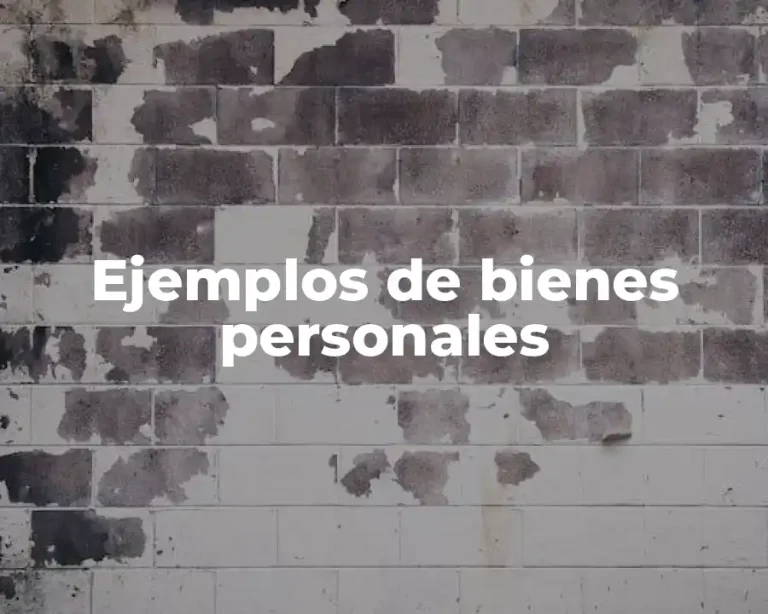 Ejemplos de bienes personales