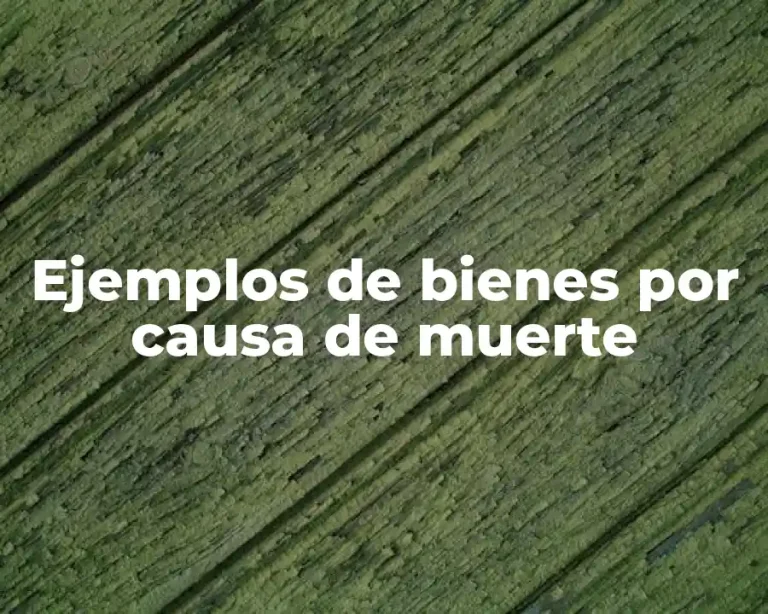 Ejemplos de bienes por causa de muerte