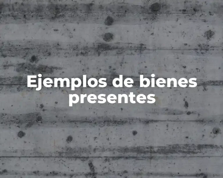 Ejemplos de bienes presentes