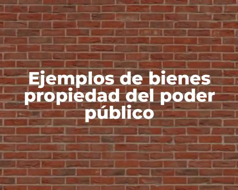 Ejemplos de bienes propiedad del poder público