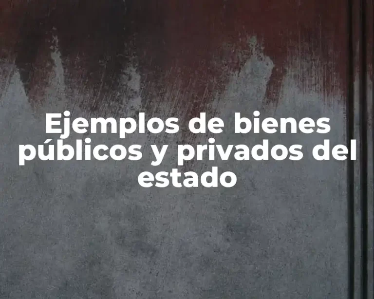 Ejemplos de bienes públicos y privados del estado