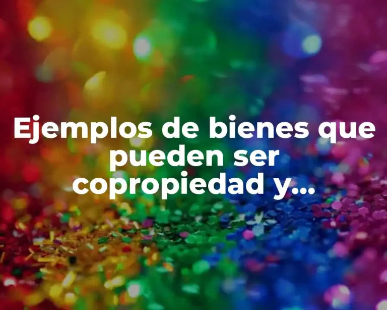Ejemplos de bienes que pueden ser copropiedad y Significado