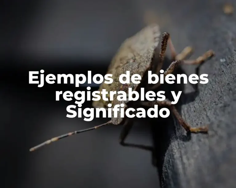 Ejemplos de bienes registrables y Significado