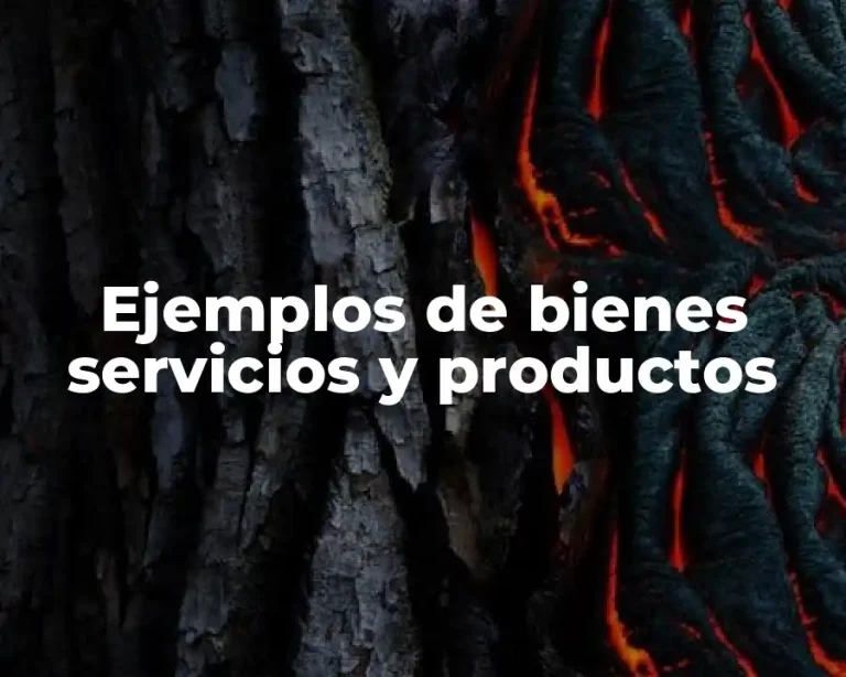 Ejemplos de bienes servicios y productos