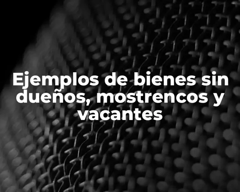 Ejemplos de bienes sin dueños, mostrencos y vacantes