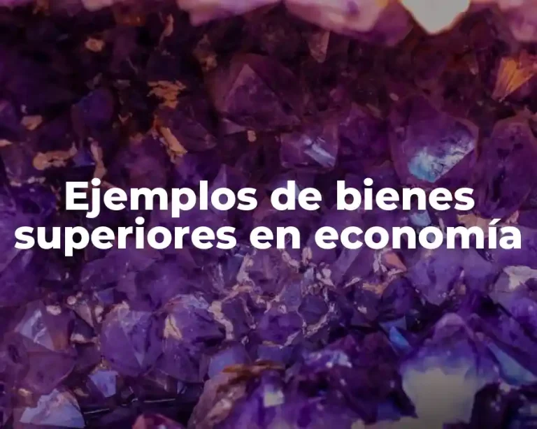 Ejemplos de bienes superiores en economía