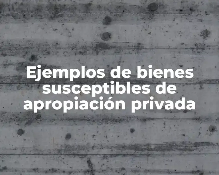 Ejemplos de bienes susceptibles de apropiación privada
