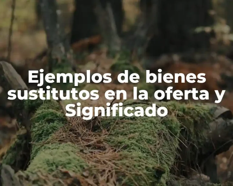 Ejemplos de bienes sustitutos en la oferta y Significado