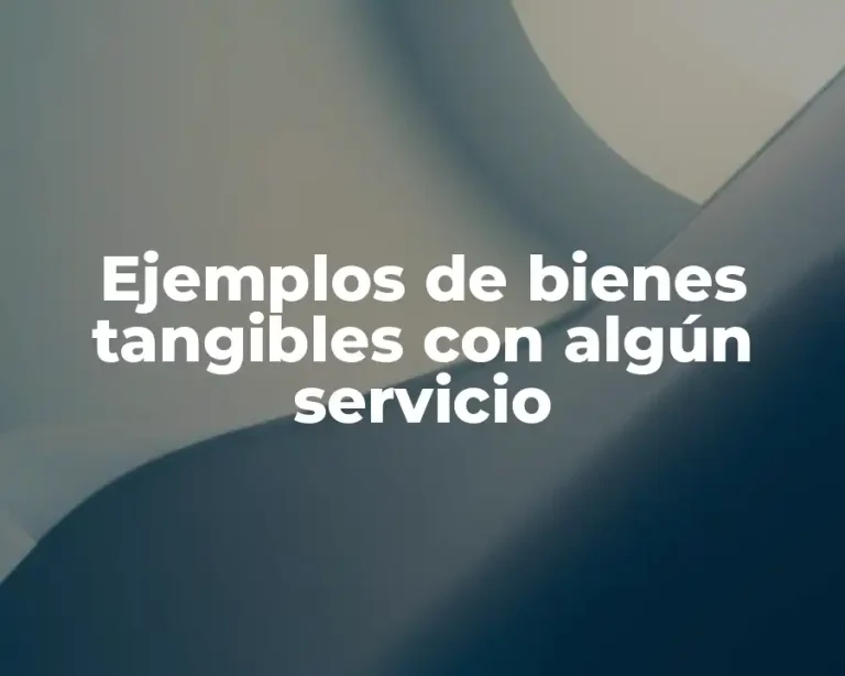Ejemplos de bienes tangibles con algún servicio