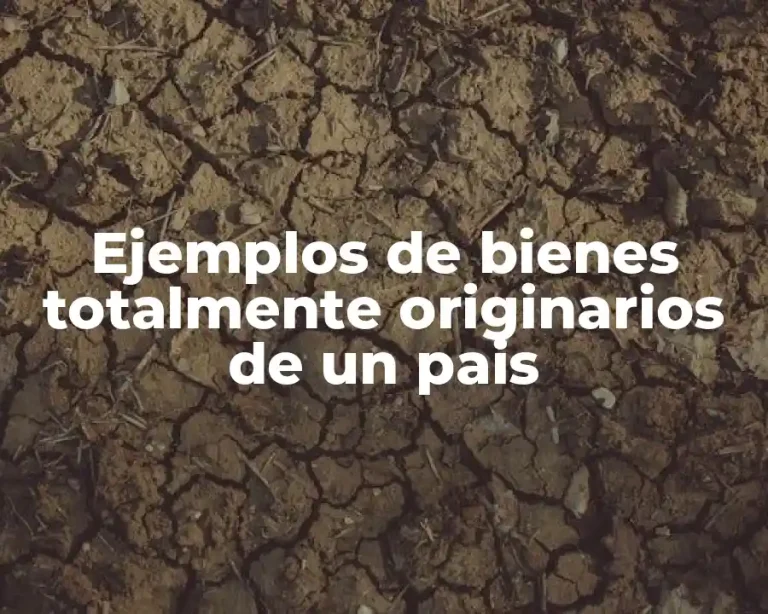 Ejemplos de bienes totalmente originarios de un pais