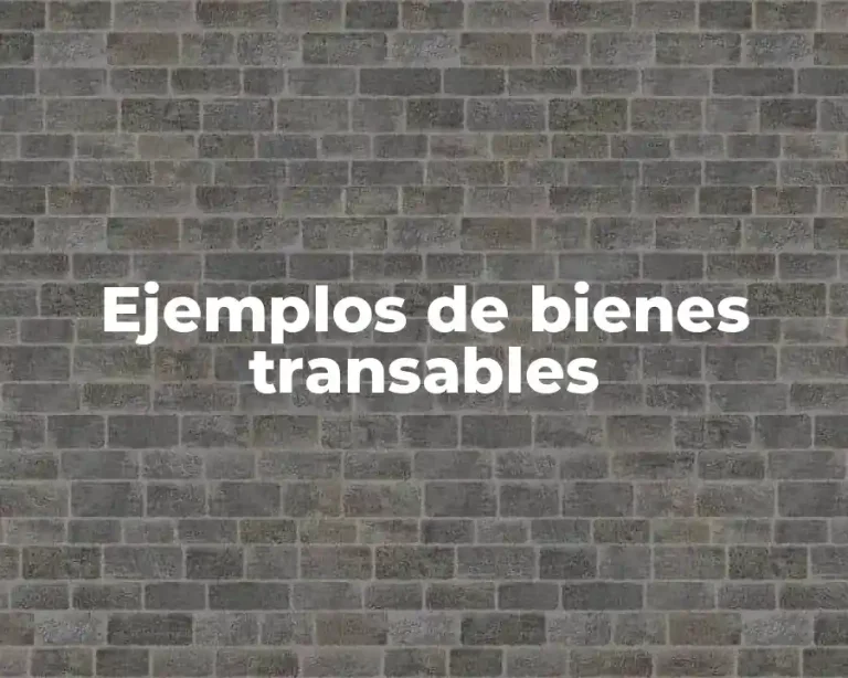Ejemplos de bienes transables