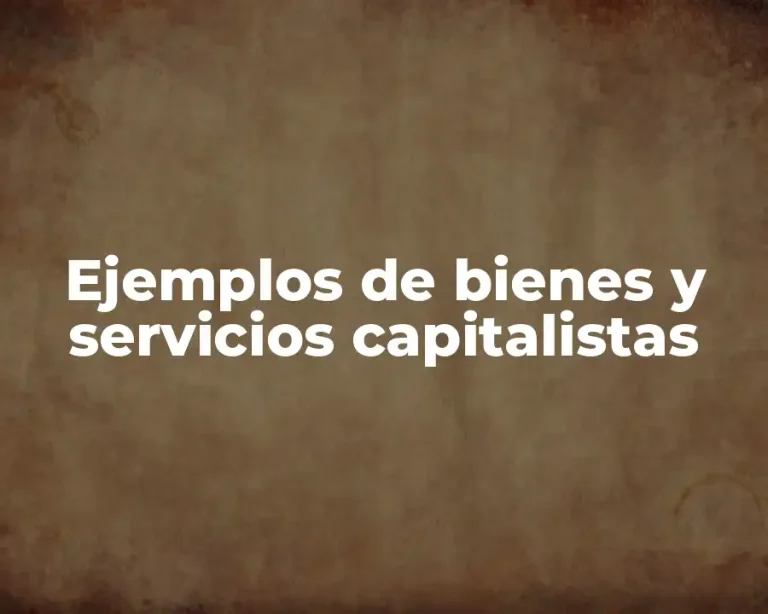 Ejemplos de bienes y servicios capitalistas