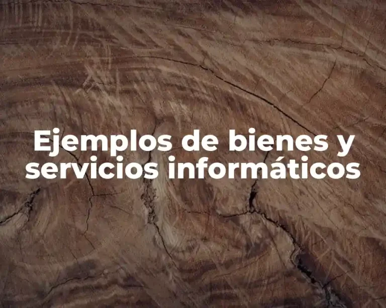 Ejemplos de bienes y servicios informáticos