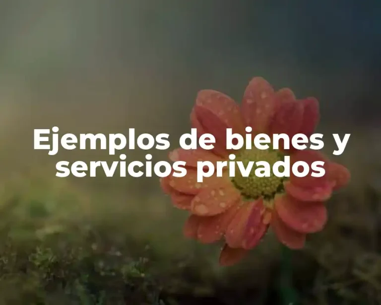 Ejemplos de bienes y servicios privados