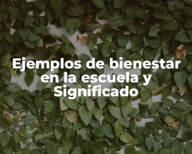Ejemplos de bienestar en la escuela y Significado