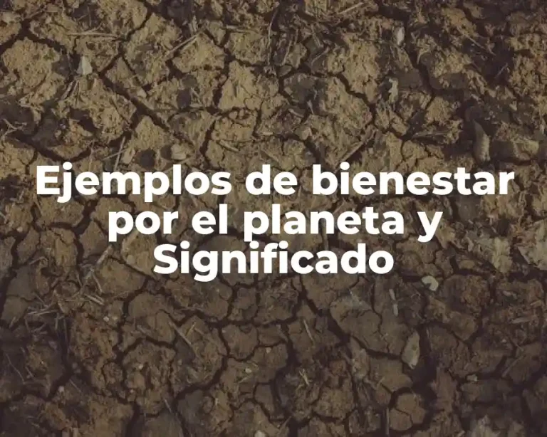 Ejemplos de bienestar por el planeta y Significado