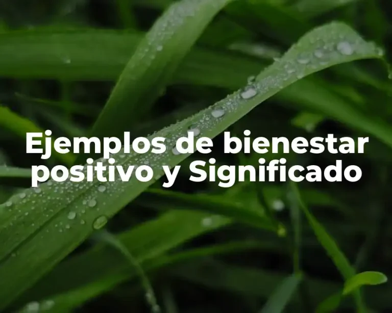 Ejemplos de bienestar positivo y Significado