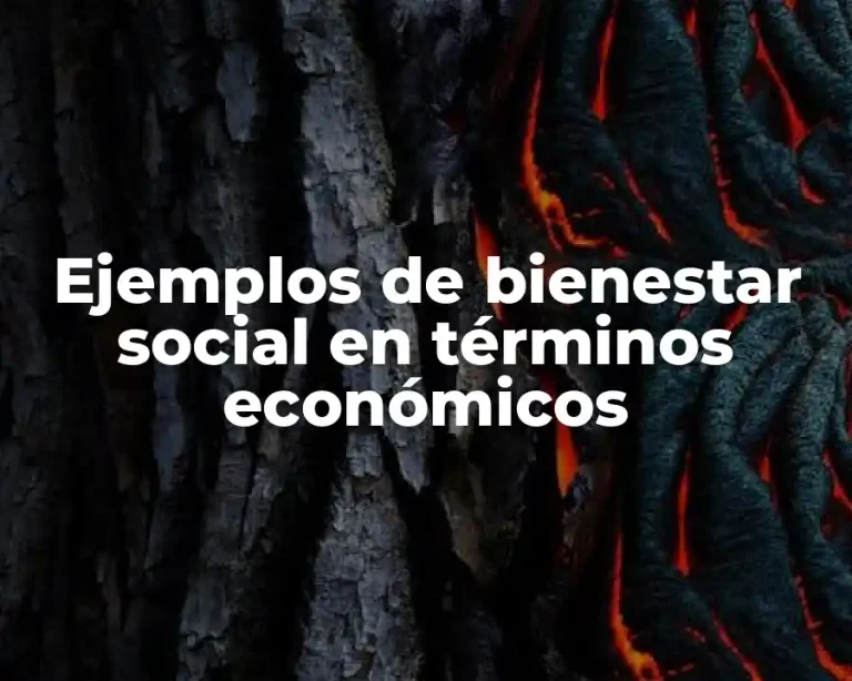 Ejemplos de bienestar social en términos económicos