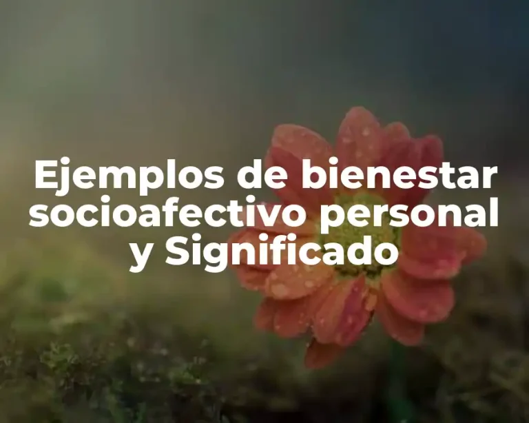 Ejemplos de bienestar socioafectivo personal y Significado