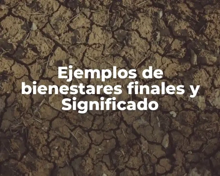 Ejemplos de bienestares finales y Significado