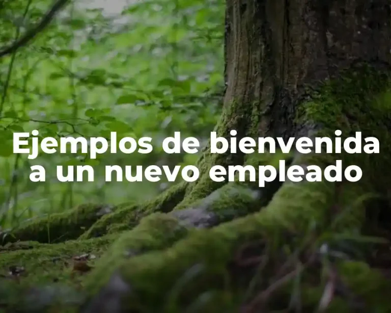 Ejemplos de bienvenida a un nuevo empleado