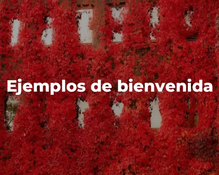 Ejemplos de bienvenida