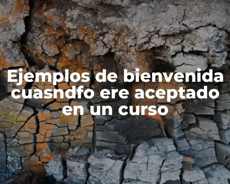 Ejemplos de bienvenida cuasndfo ere aceptado en un curso
