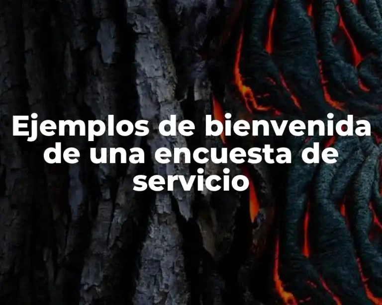 Ejemplos de bienvenida de una encuesta de servicio