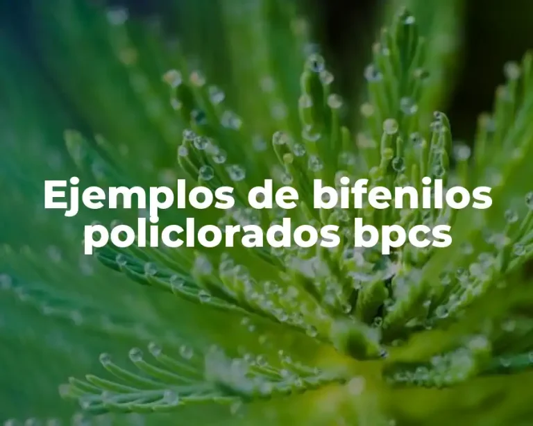 Ejemplos de bifenilos policlorados bpcs