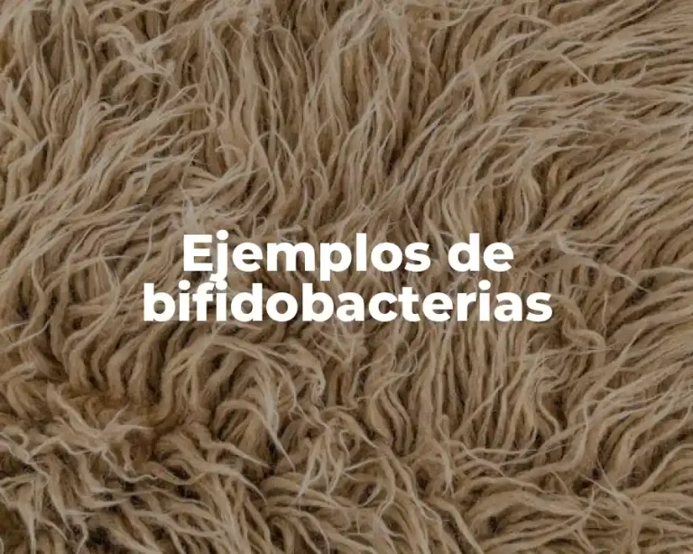 Ejemplos de bifidobacterias