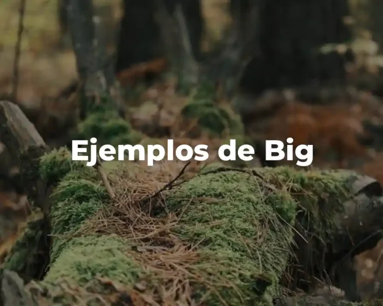 Ejemplos de Big